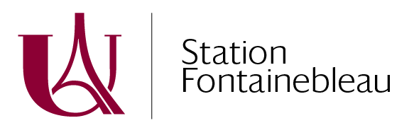 Station fontainebleau